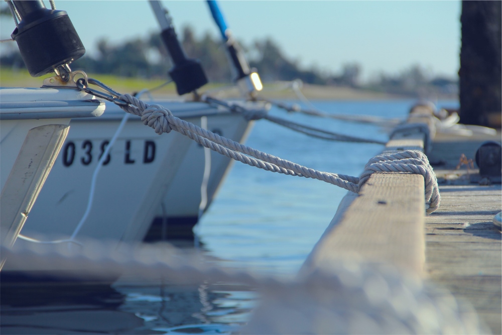 Docked Boats